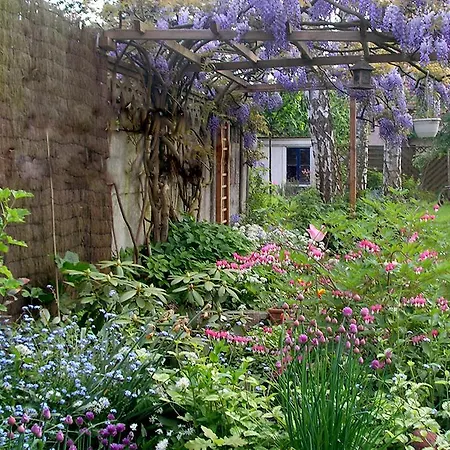 Chambres Du Bourleux Bed & Breakfast Templeuve-en-Pevele